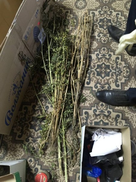 Мантуровские полицейские задержали местного жителя, подозреваемого в хранении наркотиков растительного происхождения